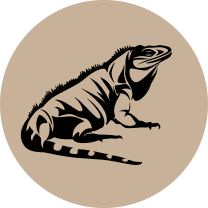 ダーウィンの言葉